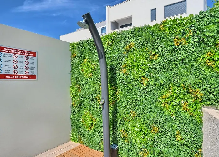 Celestial Near Split